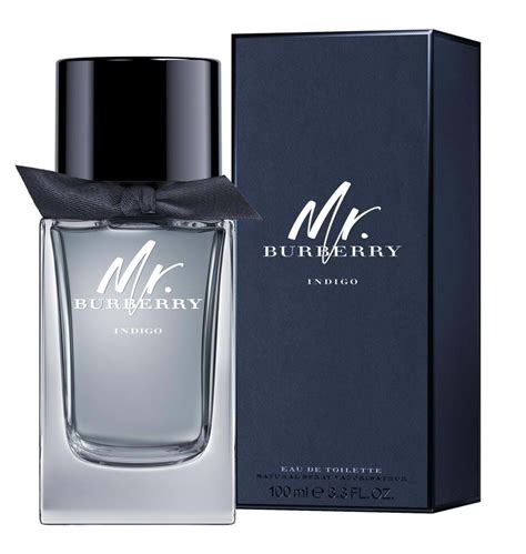 burberry indigo parfumo|burberry indigo cologne for men.